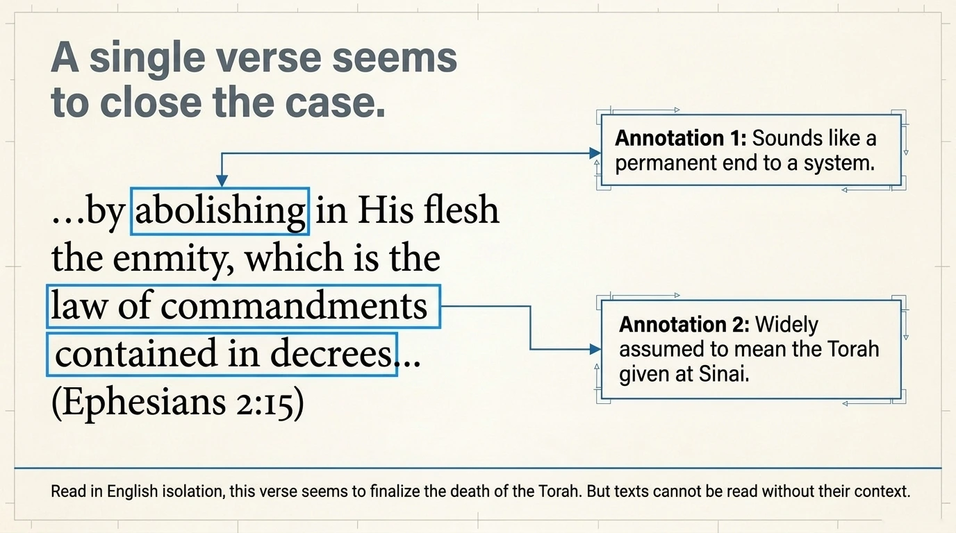Slide 3 of 13