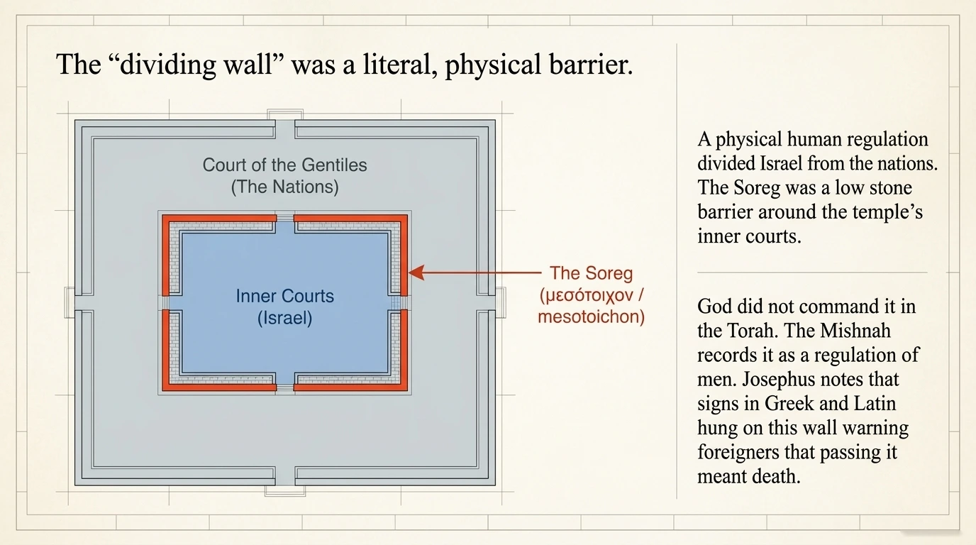 Slide 6 of 13