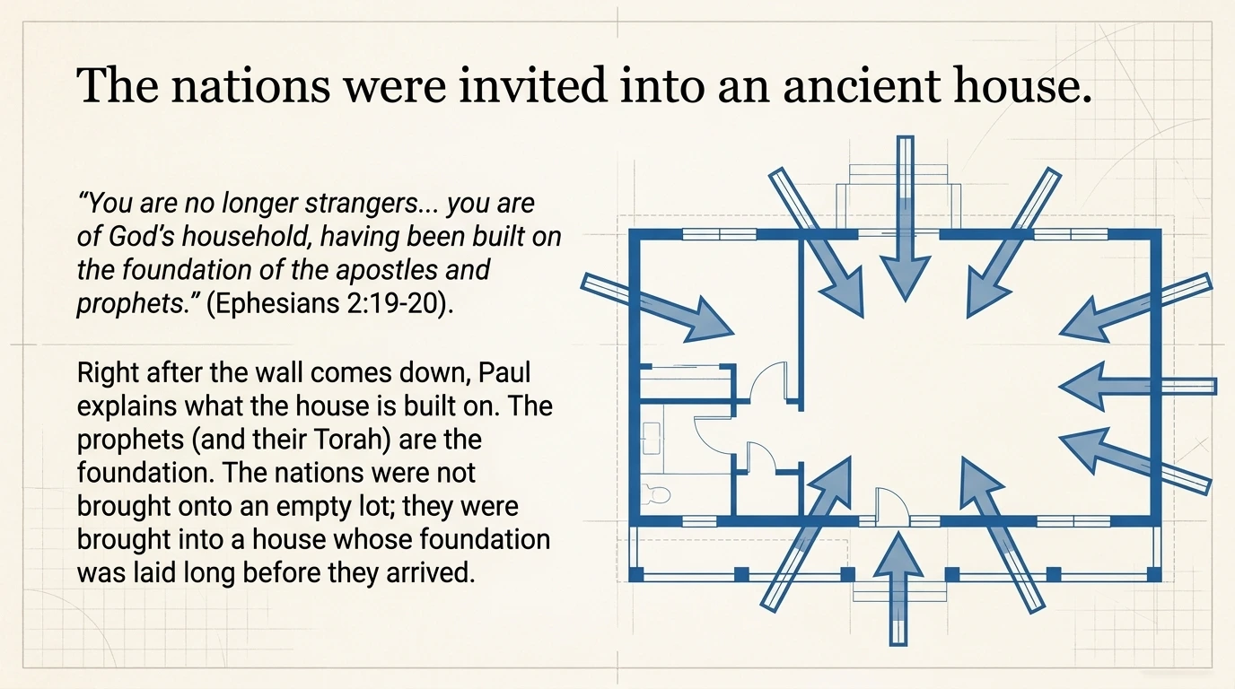Slide 12 of 13